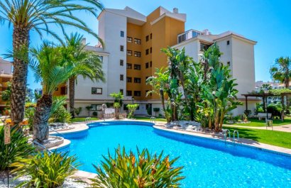 Herverkoop - Appartement / flat - Punta Prima