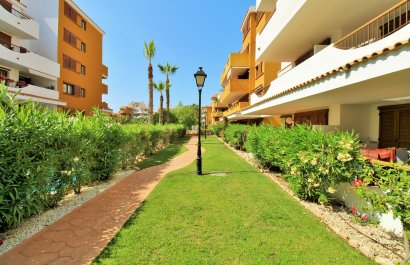 Herverkoop - Appartement / flat - Punta Prima