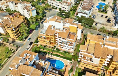 Herverkoop - Appartement / flat - Punta Prima