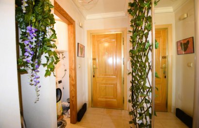 Resale - Apartment / flat - Guardamar del Segura - Campomar