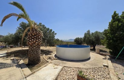 Reventa - Country House - Sax