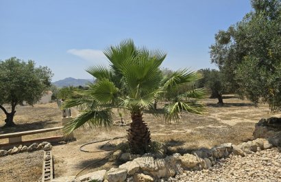 Reventa - Country House - Sax