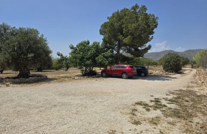 Reventa - Country House - Sax