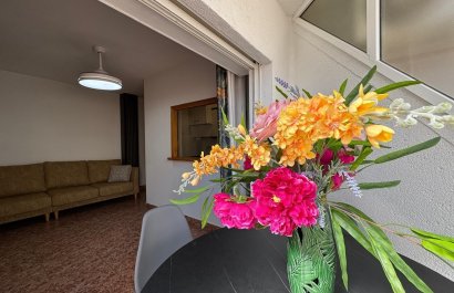 Resale - Apartment / flat - Torrevieia - Torrevieja