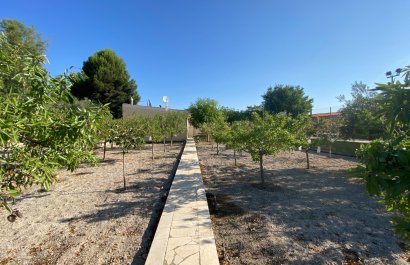 Resale - Villa - Sax