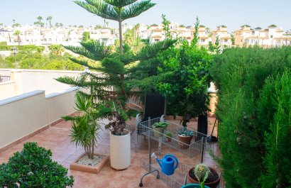 Resale - Apartment / flat - Orihuela Costa - Los Dolses