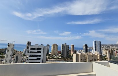 Obra nueva - Apartamento / piso - Calpe