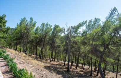 Resale - Villa - Ibi