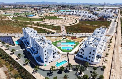 New Build - Apartment / flat - Torre Pacheco