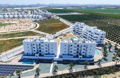 New Build - Apartment / flat - Torre Pacheco