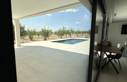 New Build - Villa - Pinoso