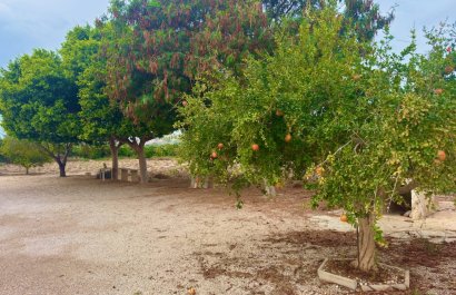 Resale - Country House - Rojales - Ciudad Quesada