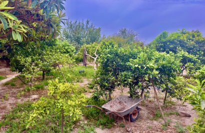 Resale - Country House - Rojales - Ciudad Quesada