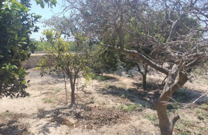 Resale - Country House - Rojales - Ciudad Quesada