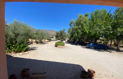 Resale - Country House - Salinas