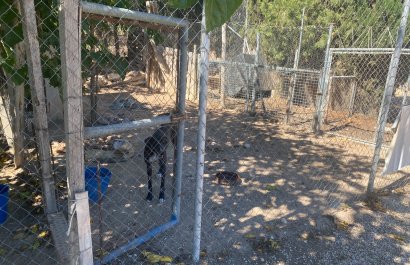 Resale - Country House - Salinas