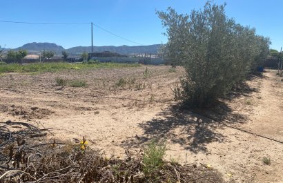 Resale - Country House - Salinas