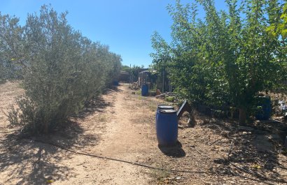 Resale - Country House - Salinas