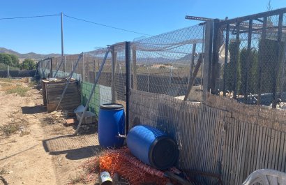 Resale - Country House - Salinas