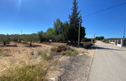 Resale - Country House - Salinas