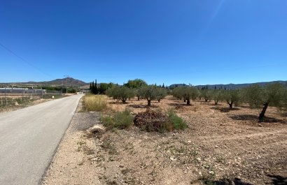 Resale - Country House - Salinas