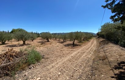 Resale - Country House - Salinas