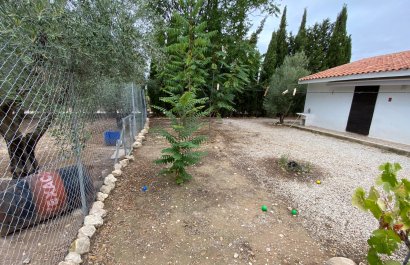 Reventa - Villa - Sax