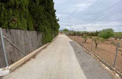 Reventa - Villa - Sax