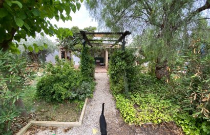 Reventa - Villa - Sax