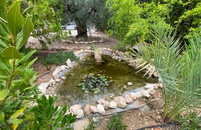 Reventa - Villa - Sax