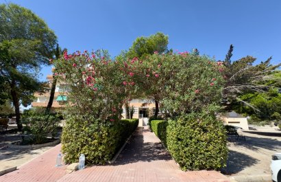 Resale - Apartment / flat - Guardamar del Segura - Pinomar