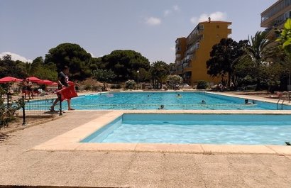 Resale - Apartment / flat - Guardamar del Segura - Pinomar