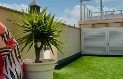 Resale - Apartment / flat - Torrevieia - Playa del Cura