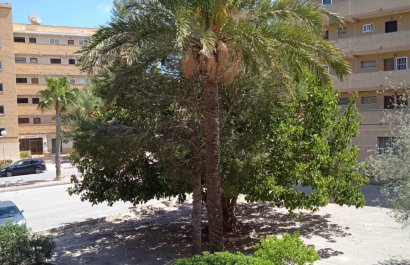 Resale - Apartment / flat - Guardamar del Segura - Pinomar