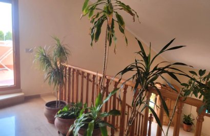 Resale - Villa - Torrevieia - Aguas Nuevas