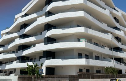 Resale - Apartments - Flats - San Miguel de Salinas