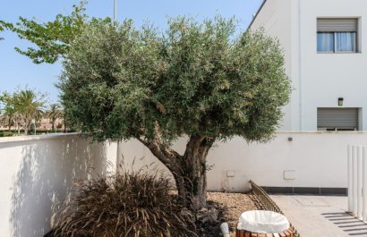 Reventa - Apartamento / piso - Torre de la Horadada