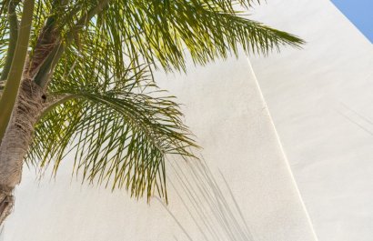 Reventa - Apartamento / piso - Torre de la Horadada