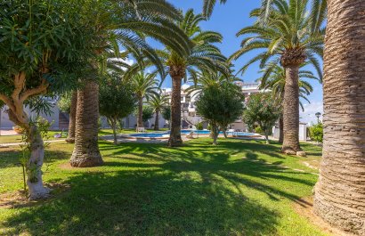 Herverkoop - Appartement / flat - La Mata