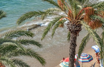 Resale - Apartment / flat - Torrevieia - Torrevieja