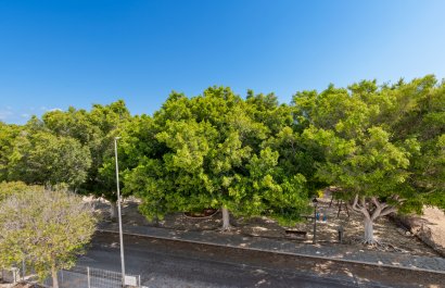 Obra nueva - Villa - Pilar de la Horadada