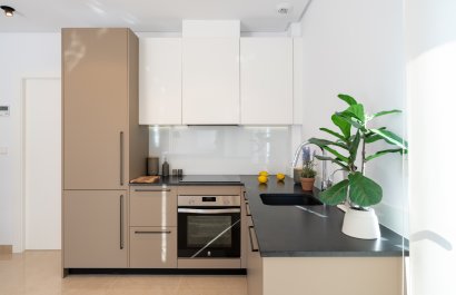 New Build - Townhouse / Duplex / Corner - Elche