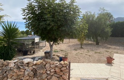 Reventa - Villa - Sax