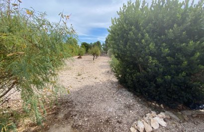 Reventa - Villa - Sax