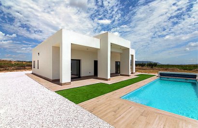 New Build - Villa - Pinoso