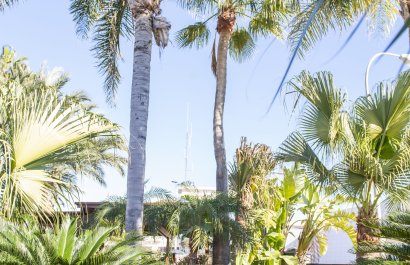 New Build - Villa - San Pedro del Pinatar