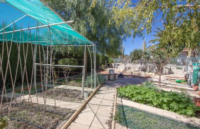 Resale - Country House - Albatera