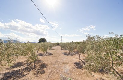 Resale - Country House - Albatera