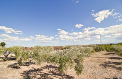 Resale - Country House - Albatera