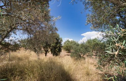 Resale - Country House - Pinoso